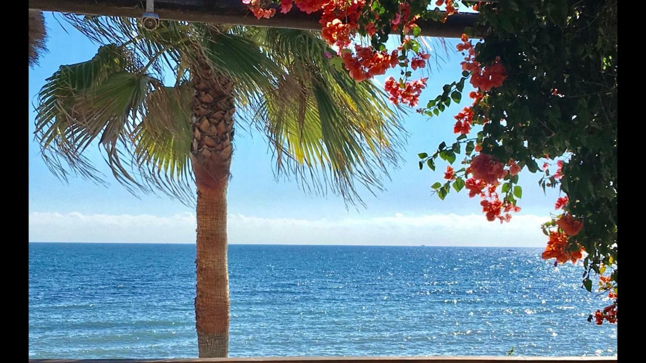 Mi Capricho Beachfront- 9E Apartment With Sea Views - Costa Del Sol Sitio de Calahonda 외부 사진